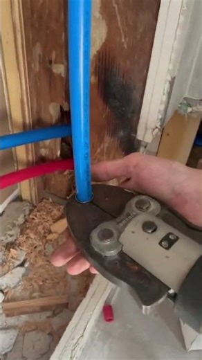 #Shorts #chris_sbrocco