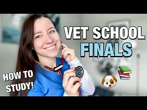 VET SCHOOL FINAL EXAMS: everything you need to know about vet school exams, format + how to study! 🐾