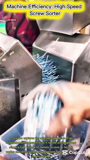Precision in Motion: The Automated Screw Sorter