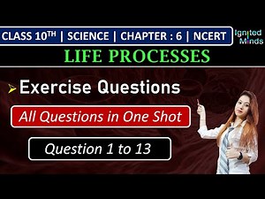 Class 10 Science Chapter 5 Question Answers - Life Processes