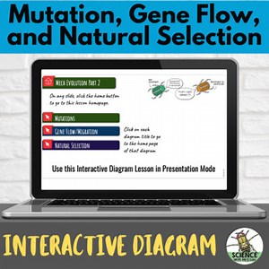 Mutation, Natural Selection, and More Interactive Diagram