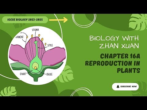 IGCSE Biology - Chapter 16 | Reproduction in Plants