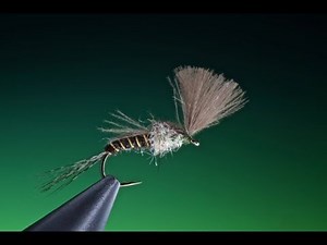 Tying a large dark olive emerger with Barry Ord Clarke