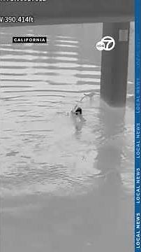 Person rescued from river by officers and emergency crews
