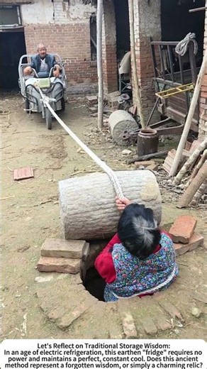 The Root Cellar: Retrieving Sweet Potatoes from the Earth's Cold Storage 🏡🍠