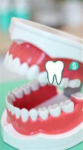 🦷 How Much Does a Tooth Extraction Cost?