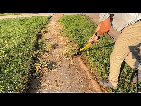 These EDGES were growing OVER THE SIDEWALK into the STREET - COMPLETE LAWN TRANSFORMATION