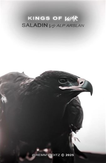 Kings of War – Saladin vs Alp Arslan #salahuddinayyubi #alparslan #shorts