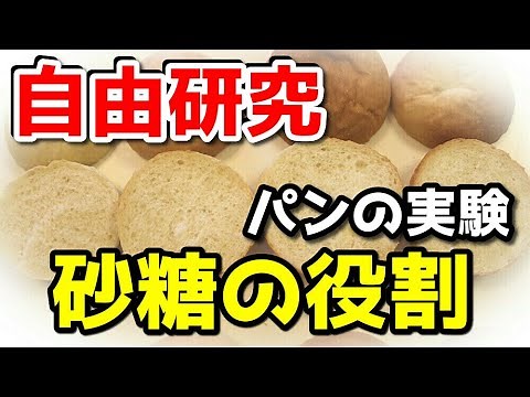 夏休み自由研究「パンと砂糖の関係」小学生～中学生 理科・家庭科