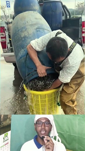 Top Learning Tools for Tech 🔥 Enthusiasts 🌍 You Must Try! #shorts #viralshorts #shortsfeed #facts