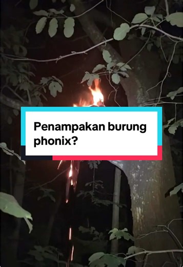 Phoenix: Mitologi atau Realitas?