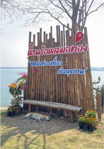 น้ำพุร้อนสมอทอง จังหวัดอุทัยธานี #อุทัยธานี #ที่เที่ยว #น้ําพุร้อน #น้ําพุร้อนสมอทอง #สุขภาพ #ฟีด