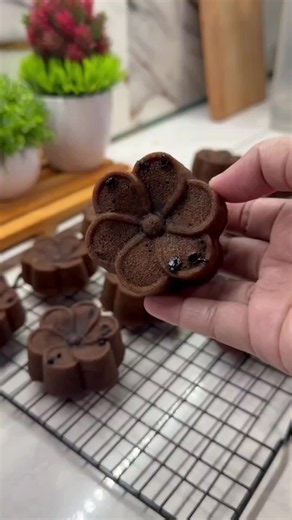 Bolu Coklat Kukus: Resep Ekonomis Tanpa Oven atau Mixer