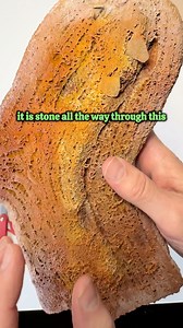 Can a Stone Sock upend geology as we understand it today? The process of creating the sedimentary rock layers of limestone and slate is a quick process if the account in Genesis is to be tested. These socks from Karlovy Vary Czech Republic took 2 weeks to form Aragonite stone. The speed of solidification would be necessary for a recent global flood to form all the alluvial rock we see today. #creationism #evolution #geology #karlovyvary | Lost World Museum