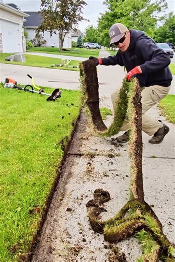 Effective Garden Cleaning and Grass Cutting Tips