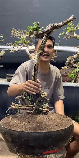 Ikuti LIVE kami dan dapatkan promosi eksklusif!