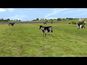 The Stories of Sodor: Cows