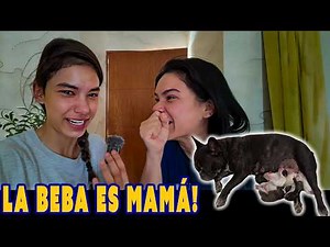 EL DÍA QUE LA BEBA TUVO A SUS CACHORRITOS | Ana Emilia