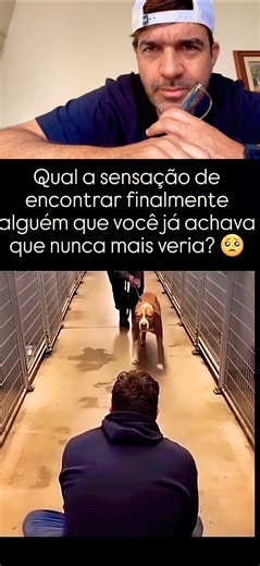 Lindo ❤️❤️#pets