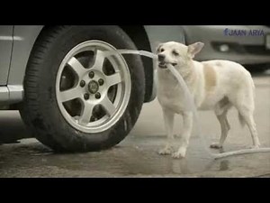 Award Winning Ad | Global Creative Awards