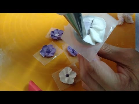 Five Basic Petal Flower for beginners | Using Petal Tip | Whippit frosting