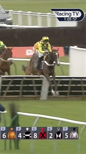 Feel Gut looks one to note in some famous silks