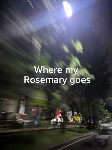 Love grows (where my rosemary goes) lyrics/ edison lighthouse