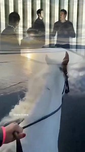 306K views · 10K reactions | Lindíssima música  Vídeo by Silvana Silveira.  Blue Featuring & Elton Jhon - Sorry Seems To Be Hardest Word . | Silvana Songs | Facebook