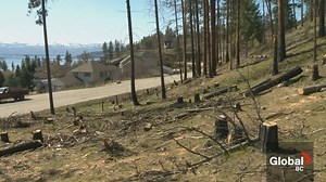 Court upholds forestry company’s more than $343,000 fine for starting 2016 wildfire