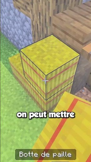 A BUILD HACK for your HORSES in MINECRAFT! 😉