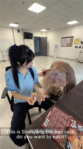 Why do we have to divide food into different areas? #walrus #funnyanimals #Oscar #Cute #Tiktokgrowthchallenge