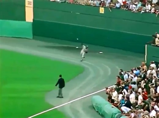 Pittsburgh #Pirates legend Roberto Clemente shows off his cannon of an arm during Game 6 of the 1971 World Series! #MLB #Baseball #Postseason #WorldSeries #History #RobertoClemente | Baseball by BSmile