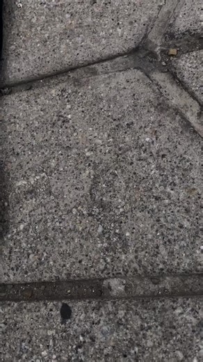 SALEN 7PM EN EL GRUPO‼️#tapout #y2k #lapaz_bolivia🇧🇴 #affliction