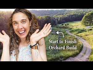 Planting An Entire Orchard This Month - 150 Trees!