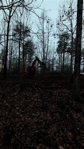 🚧 Land clearing pros in Gaffney, SC – we're getting this shop pad ready to rock! Digging in and shaping up the ground for a foundation. We do it all: clearing land, prepping sites, installing septic systems, setting up drain fields, and handling wastewater like champs in Upstate South Carolina. Got dirt to move or septic stuff to sort? Hit us up in the comments or DM for help around Upstate, SC. 🌳👊🔧