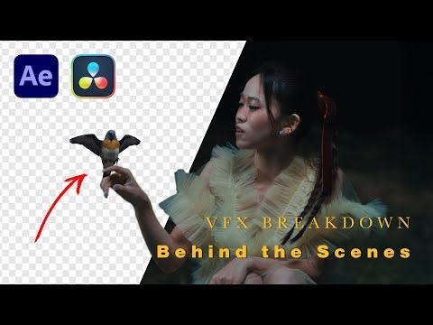 How to create a Music Video with CRAZY VFX