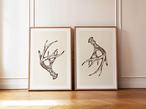 Retro Antler Prints Outdoors Art Deer Antler Posters Set of 2 Outdoorsy Wall Prints Home Office Decor Nature Wall Art Hunting Gift for Dad - Etsy