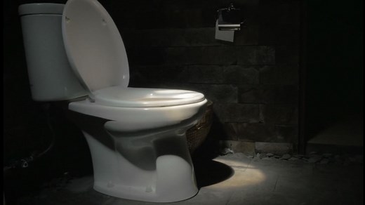 Get paid up to $1,200 a month for your poop by Tempe research company