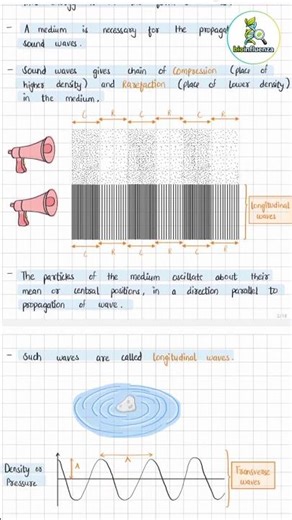 Study of Sound l Class 9 Science l Aesthetic Notes