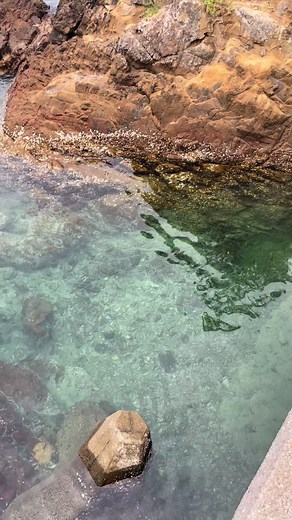 エギングでの釣果報告と楽しみ方