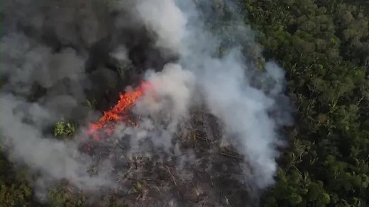 Amazon fires surge anew in Brazil
