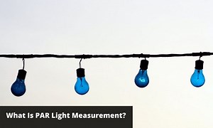 What Is PAR Light Measurement? | GreenBudGuru