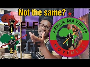 Did Floyd Shivambu copy EFF LOGO? NOOO!