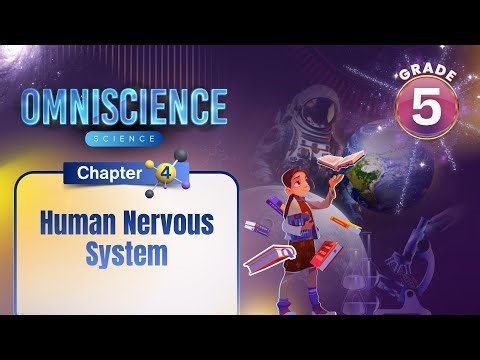 Human Nervous System | Science Class 5 | Chapter 4 | IP Study
