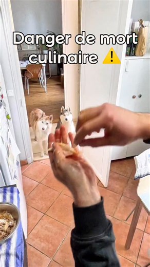 250K views · 3.8K reactions | ⚠️ alerte “os de poulet rôti” Non mais...