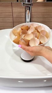 Grandma’s secret with eggshells — wish I’d known sooner! #LifeHack #DIYtips #EggshellUses #HomeHacks #SmartLiving SaveMoney Materials: • Crushed eggshells • Plate • Water • Toilet paper • Oven • Blender • Zip-lock bag • Spice shaker • Scissors | FastDIY