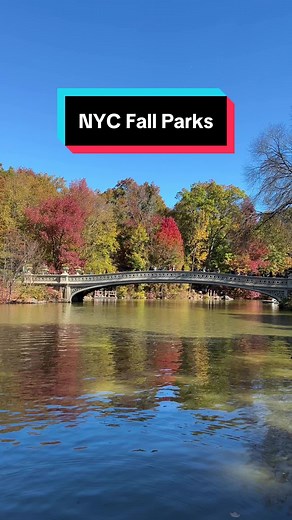 Our Favorite Parks for Fall in New York City! 📍Central Park - Iconic for all the right reasons, there are so many great places for beautiful fall colors all around this park. 📍Prospect Park - Brooklyn's Central Park, also has serene walks that's less crowded. This one's our local favorite! 📍Brooklyn Bridge Park - Boasting incredible views of downtown Manhattan and the Brooklyn Bridge, there's many lovely points here with fall coverage. 📍Hudson River Park - Our favorite place to bike in New Y