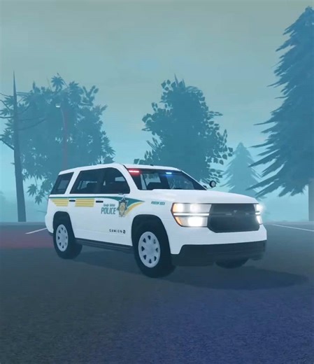 Emergency Response Strategies in Liberty County