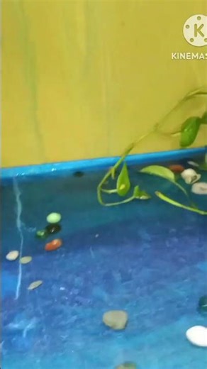 Live Science Model: Evaporation of Water & Water Cycle | National Science Day Project #shorts