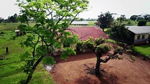 19K views · 157 reactions | Exclusive announcement: As Richard Curtis...